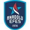 Anadolu Efes logo