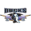 Beijing Shougang Ducks logo