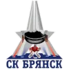 Bryansk logo
