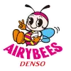 Denso Airybees (Women) logo