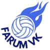 Farum (Women) logo