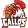 Gallos de Aguascalientes logo