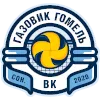 Gazovik Gomel logo