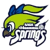 Hisamitsu Springs (Women) logo