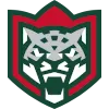 Irbis logo