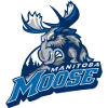 Manitoba Moose logo