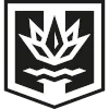 Neftekhimik Novopolotsk logo