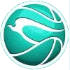 Phoenix Super LPG Fuel Masters logo