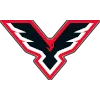 Pinskie Yastreby logo