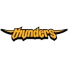 Seoul Samsung Thunders logo