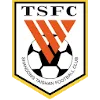 Shandong Taishan II logo
