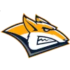 Stalnye Lisy Magnitogorsk logo