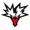 Team Yandex logo