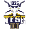 TFSE Kek U20 logo
