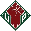UP Fighting Maroons (Women) logo