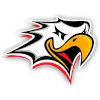 Vaasan Sport U20 logo