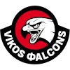 Vikos logo