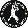 VSA U22 logo