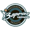Zarechie Odintsovo (Women) logo