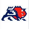 Zubry Brest logo